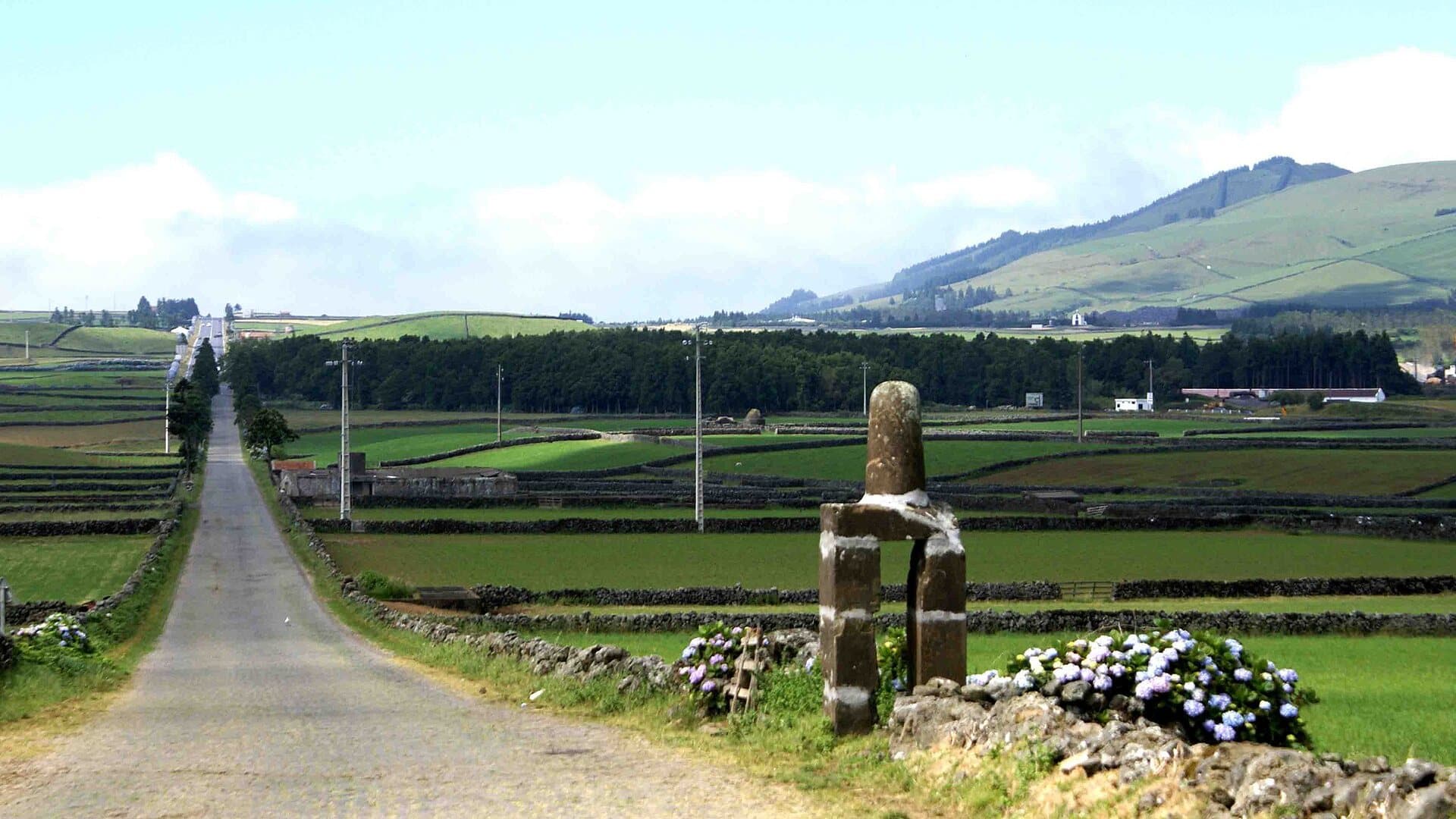 Strasse im Inselinneren von Terceira, zwischen Steinmauern und Weiden
